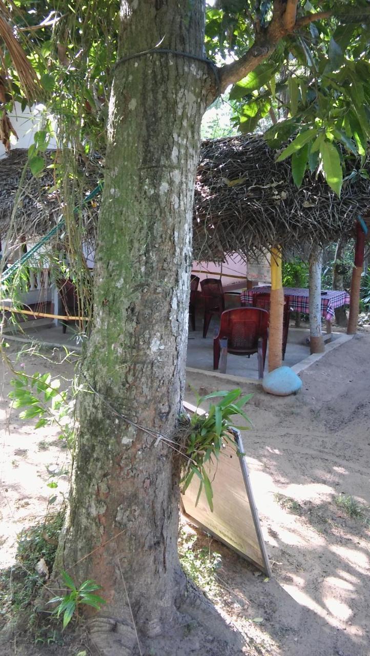 Thevindu Guest & Redmud Resturent Banduramulla المظهر الخارجي الصورة