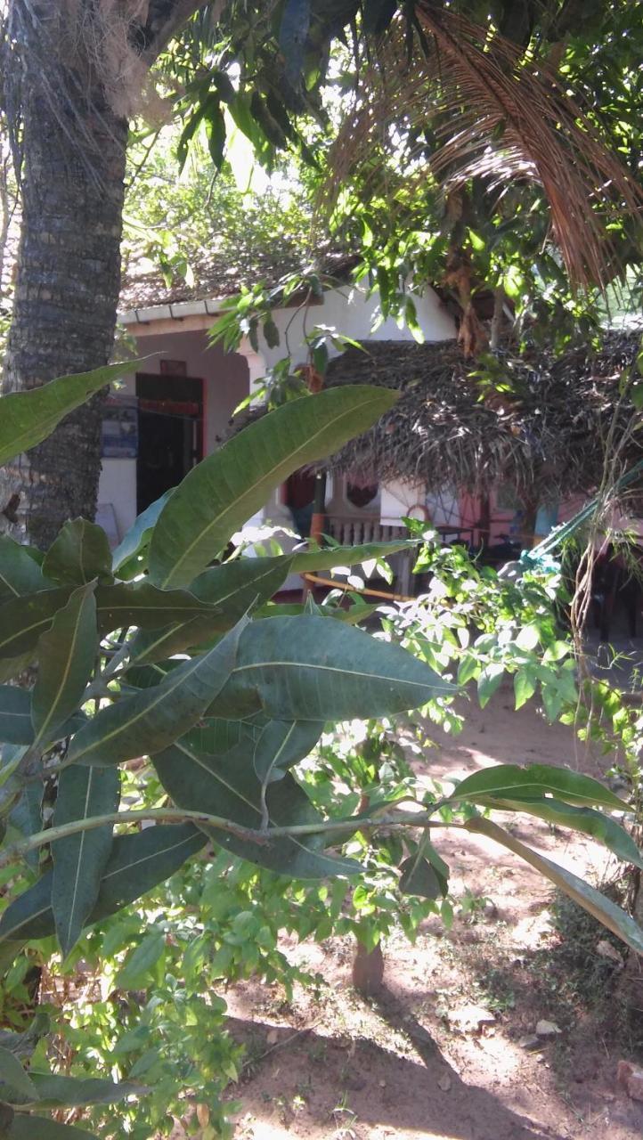 Thevindu Guest & Redmud Resturent Banduramulla المظهر الخارجي الصورة