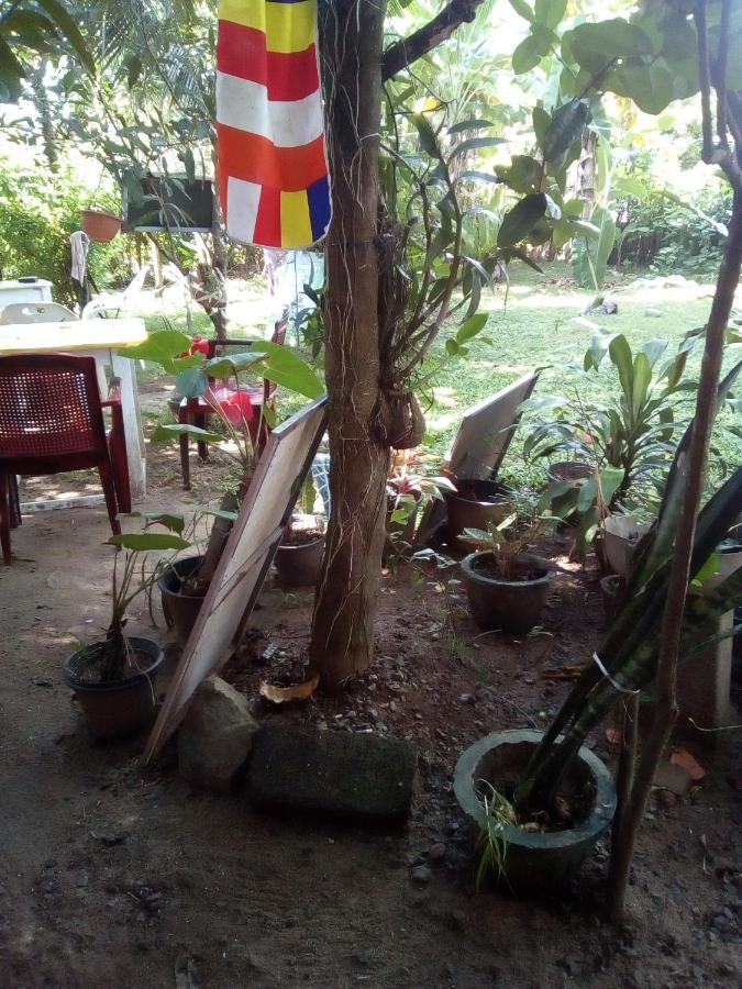 Thevindu Guest & Redmud Resturent Banduramulla المظهر الخارجي الصورة